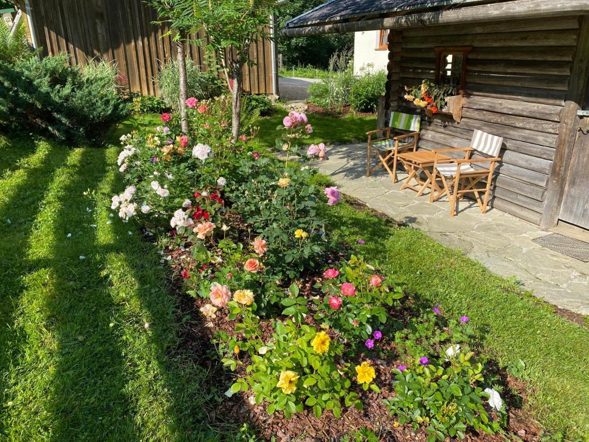 Oberleiten Apartments Wagrain Buitenkant foto